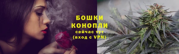 PSILOCYBIN Вязники